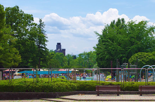 昭和記念公園201307-11
