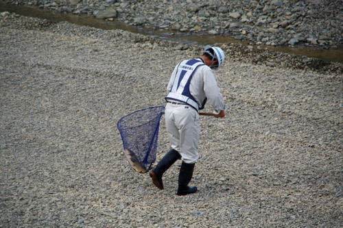 11月の散歩道2010-1
