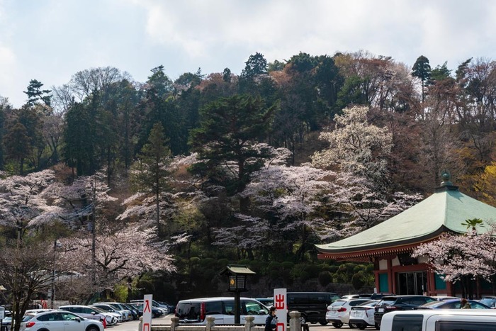 高幡不動尊201903