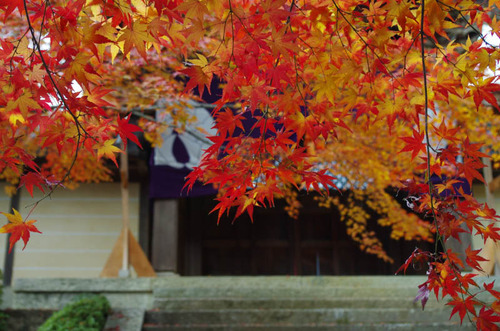 京都201307-1