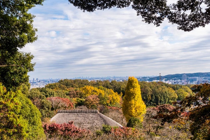 京王百草園201811