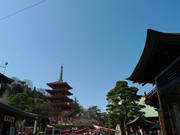 高幡不動尊090221-6