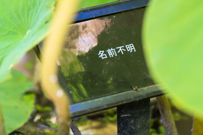昭和記念公園201807