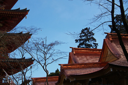 高幡不動尊201101-5