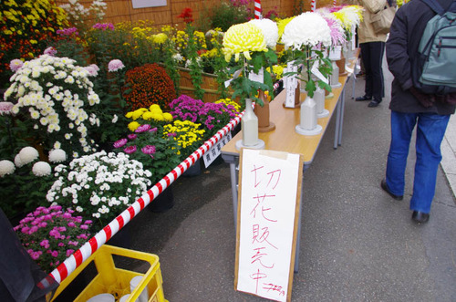 高幡不動201311-11