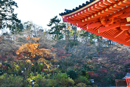 高幡不動尊201612