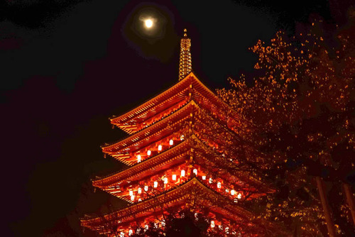 高幡不動尊万燈会2015-8
