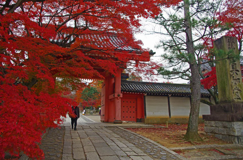 京都201307-3