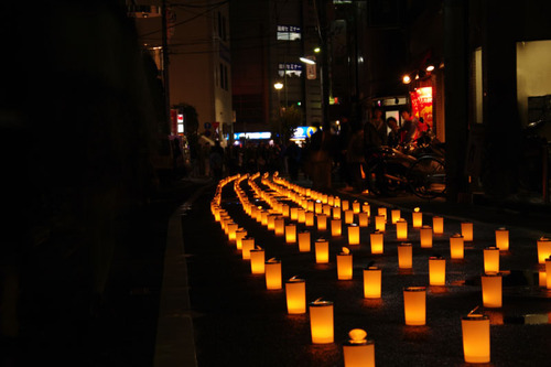 もみじ灯路201011