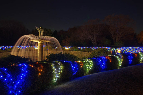 昭和記念公園201312-7