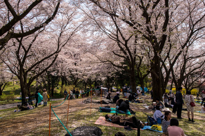 昭和記念公園201804