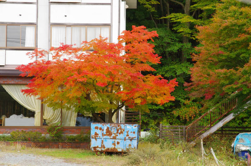 富士五湖の紅葉2013-9