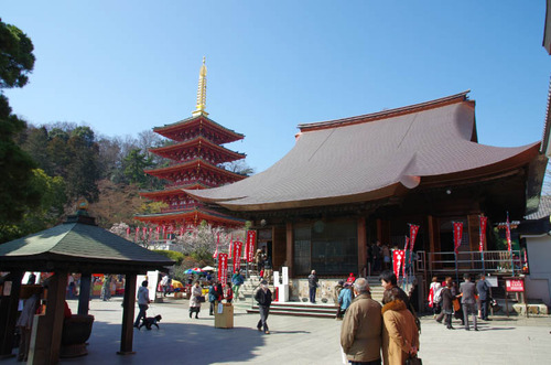 高幡不動201403-1