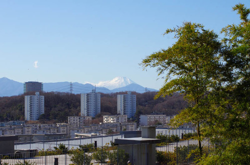 京王百草園201201-8