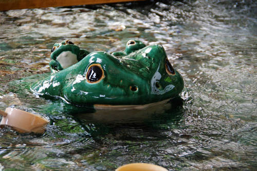 二見浦2010-4
