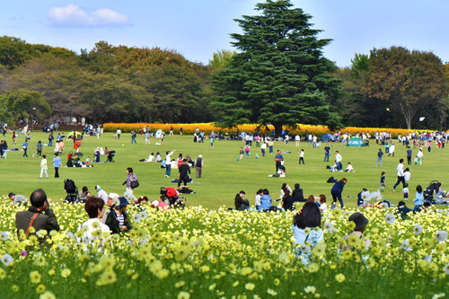 昭和記念公園201610