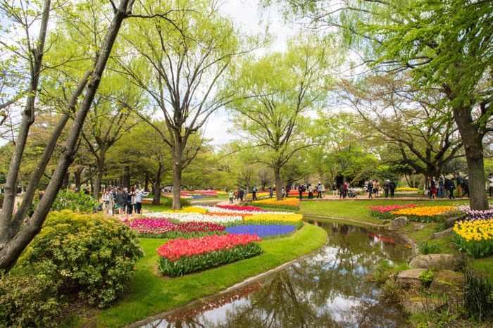 昭和記念公園201804