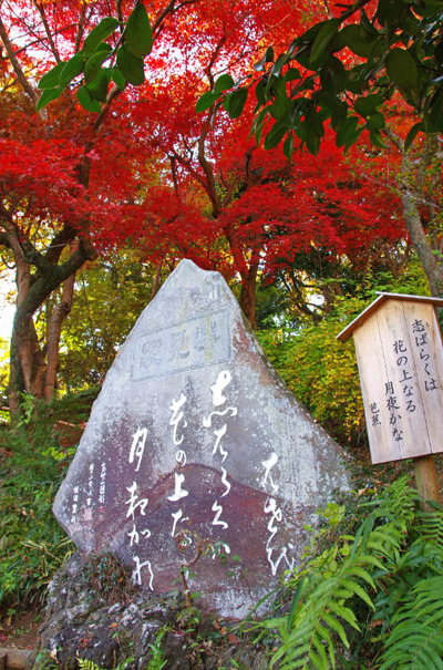 京王百草園201311-8芭蕉句碑