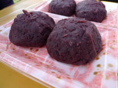 多摩川花見2009-4