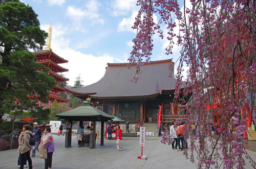 高幡不動201404-2