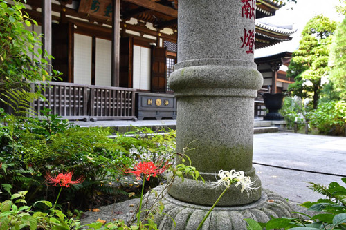 高幡不動尊201609