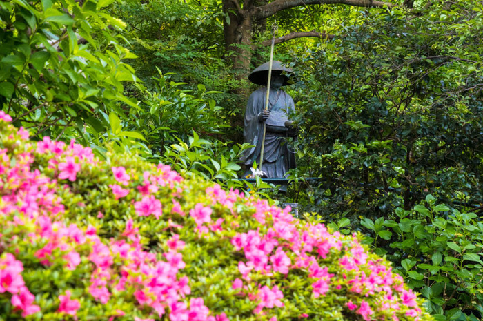 高幡不動尊201805