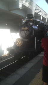 d9576914.jpg
