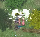 06060902.jpg