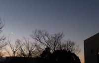 190202