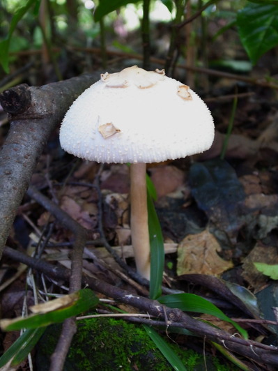 R0010057