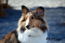 ���祤�� 027