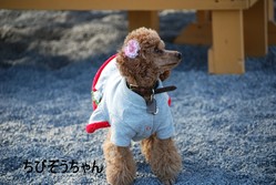 ���祤�� 005