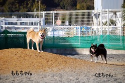 ���祤�� 051