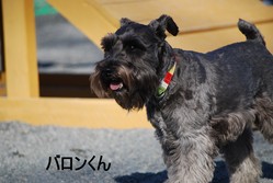 ���祤�� 042