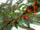 DSCN0245