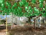 DSCN0331