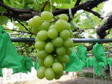 DSCN0285