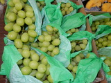 DSCN0490