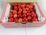 DSCN0239