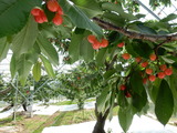 DSCN0462