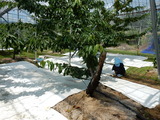DSCN0449