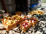 DSCN0391