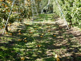 DSCN0381