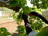 DSCN0433