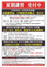 夏チラシ裏
