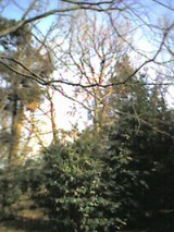050204_1222~001.jpg
