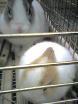 050203_1220~001.jpg