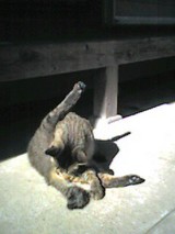 050202_1209~001.jpg