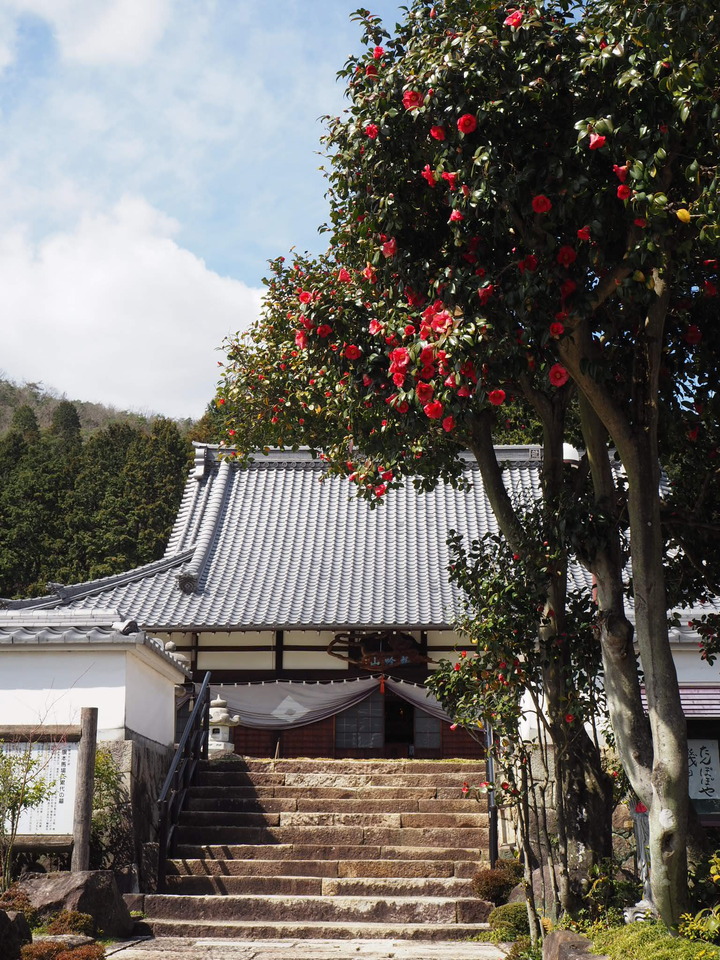 8B624202-9DF8-4711-9E85-014A39706EB6