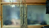 584bd572.jpg